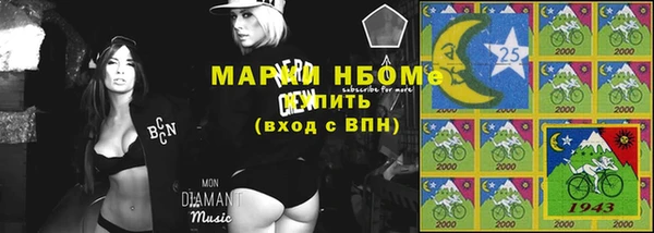 индика Надым