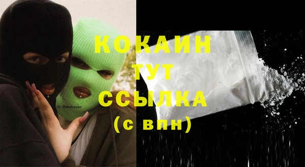 индика Надым