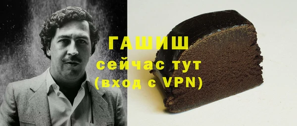 индика Надым