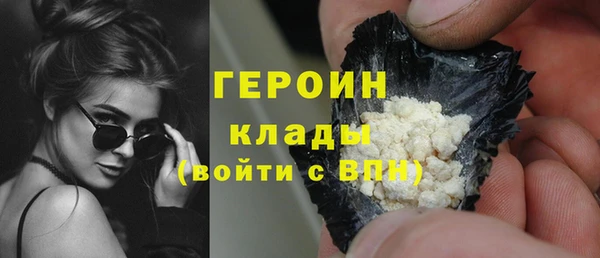 индика Надым
