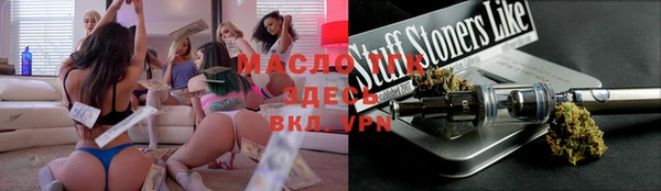 индика Надым