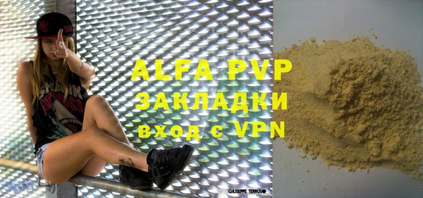индика Надым