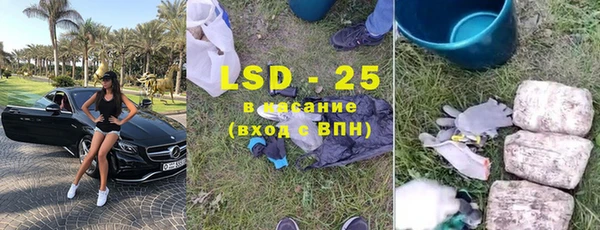 индика Надым