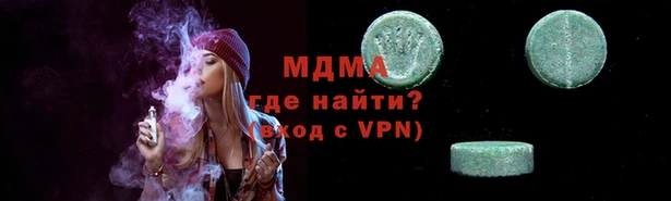 индика Надым