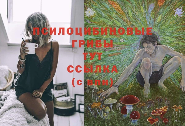 мдпв Наволоки