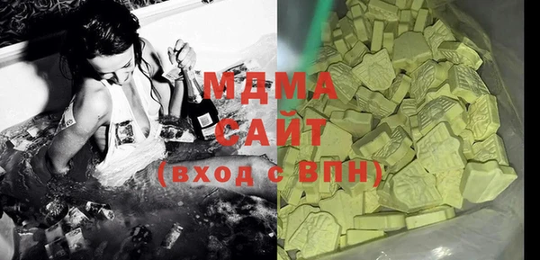 индика Надым