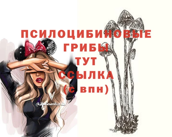 индика Надым