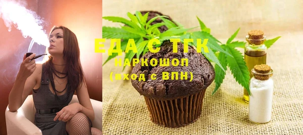 индика Надым