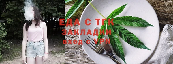 индика Надым