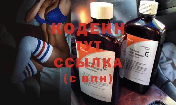 индика Надым