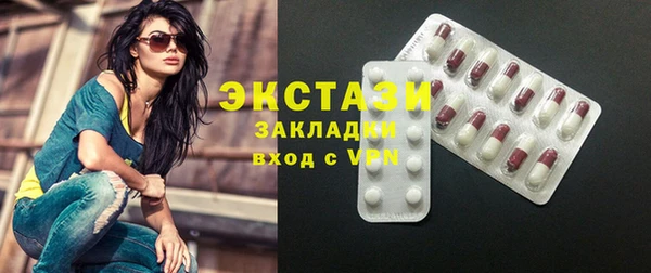 индика Надым