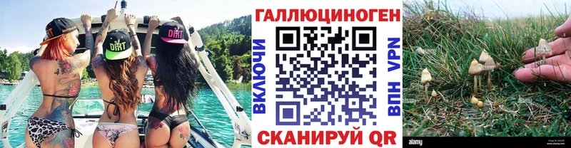 Галлюциногенные грибы Magic Shrooms  OMG как зайти  Югорск 